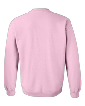 Load image into Gallery viewer, Light Pink — back