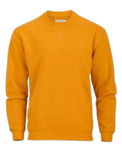 Load image into Gallery viewer, Golden Amber — front · rembg