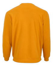Load image into Gallery viewer, Golden Amber — back · rembg