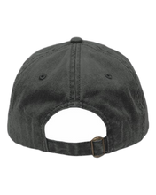 Load image into Gallery viewer, Pigment Black — back · rembg