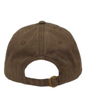 Load image into Gallery viewer, Pigment Brown — back · rembg