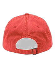 Load image into Gallery viewer, Pigment Red — back · rembg