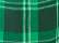 Load image into Gallery viewer, Green Mcintosh Plaid — front
