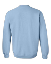 Load image into Gallery viewer, Light Blue — back
