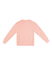 Load image into Gallery viewer, Pigment Salmon — back · rembg
