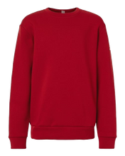 Load image into Gallery viewer, Team Power Red/ White — front
