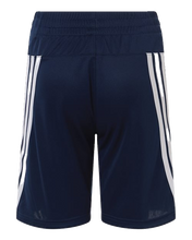 Load image into Gallery viewer, Collegiate Navy/ White — back
