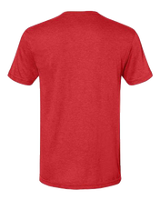 Load image into Gallery viewer, Red Mist — back
