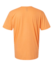 Load image into Gallery viewer, Tangerine Mist — back
