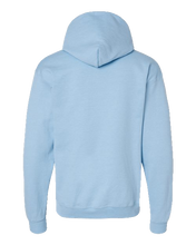 Load image into Gallery viewer, Light Blue — back
