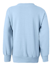Load image into Gallery viewer, Light Blue — back
